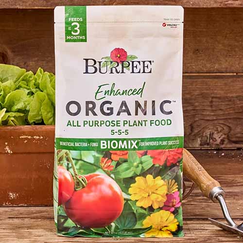A close up of a bag of Burpee Enhanced Organic All Purpose Plant Food set on a wooden surface.