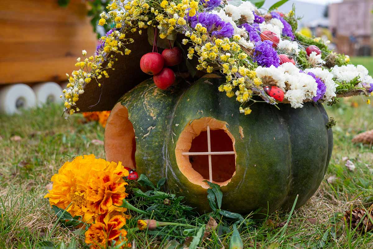 A green pumpkin, with two holes carved out of it to create windows, a roof laden with flowers in various colors to create a fairy house. The background is green lawn and in the foreground bright orange and red cut flowers.