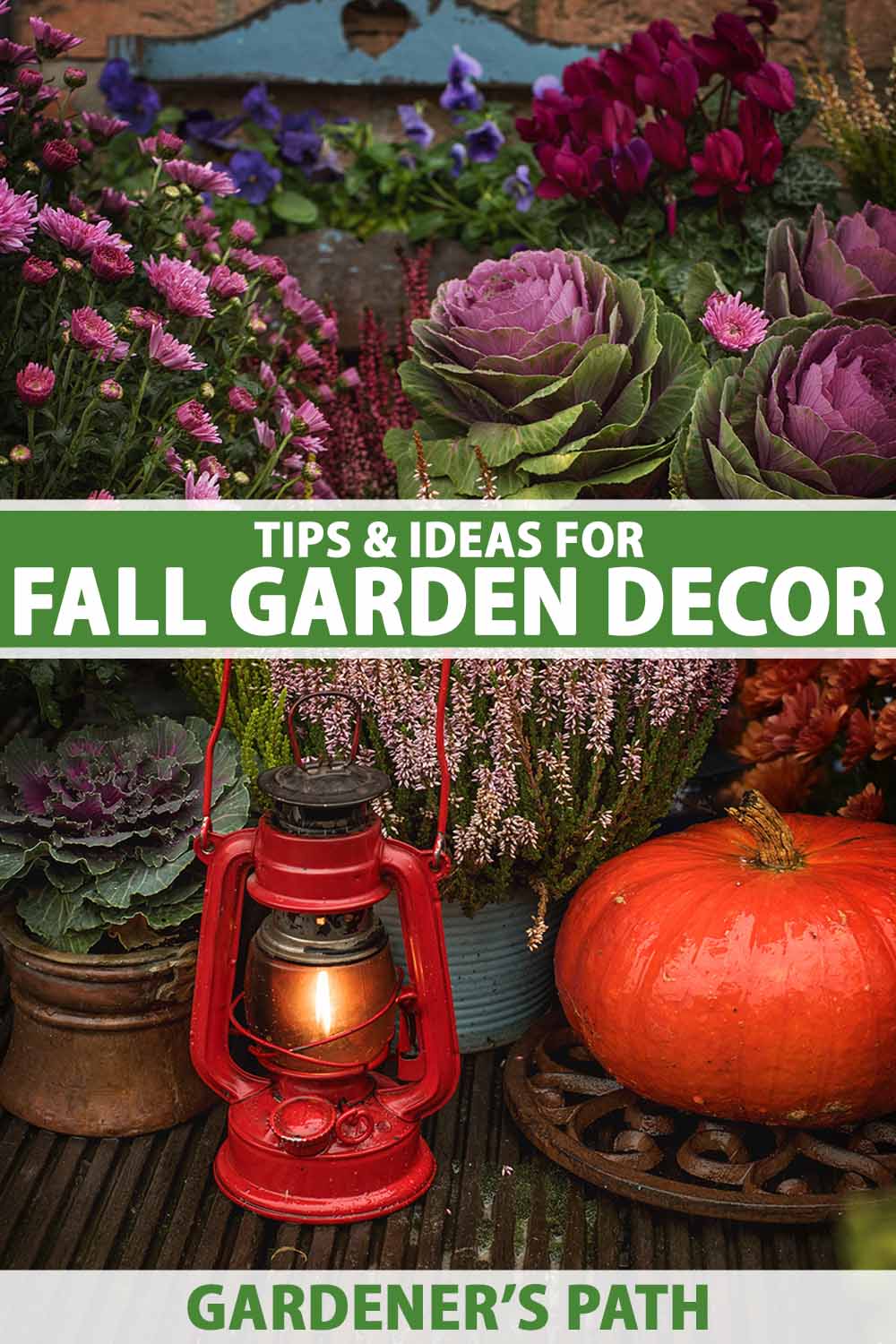 A collection of different colored plants, ornamental kales in purple and green, a bright red pumpkin, some red, pink and purple flowers, all arranged to create a colorful autumnal scene. In the foreground is a red paraffin lamp with a small glowing flame. To the center and bottom of the frame is green and white printed text.