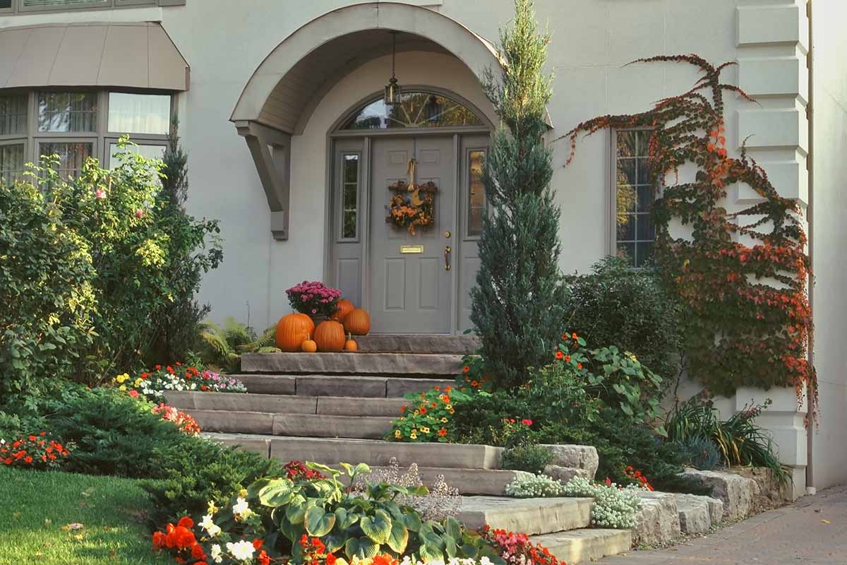 A front porch leading to a gray front door with a wreath. On the stone steps leading up, pumpkins are displayed, bright orange with a plant with purple flowers. Either side of the porch are shrubs, creepers, and flowers providing splashes of color.