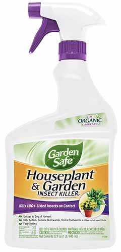 A close up of a spray bottle of Garden Safe Houseplant and Garden Insect Killer.