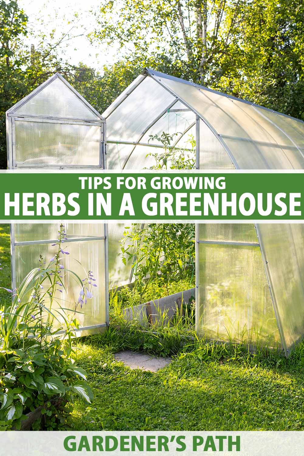 A close up vertical image of a greenhouse in the garden pictured in light sunshine. To the center and bottom of the frame is green and white printed text.