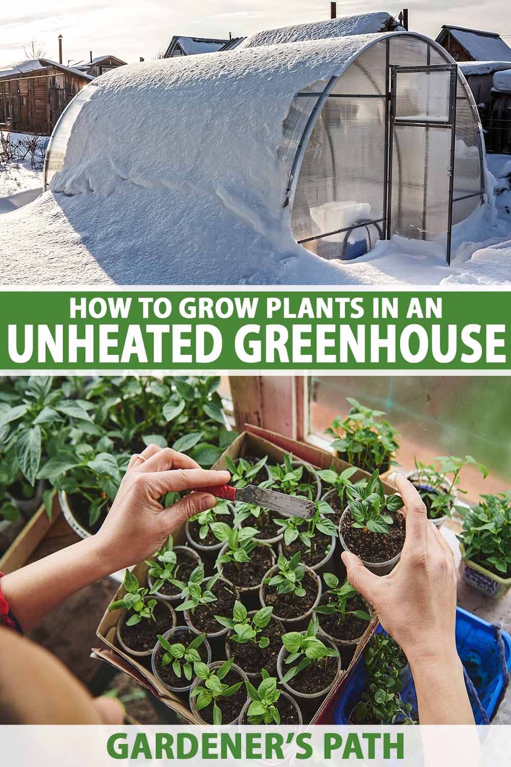 A vertical collage with the top photo a picture of a hoop house under a covering of snow and the bottom being a gardener potting up seedlings. To the center and bottom of the frame is green and white printed text.