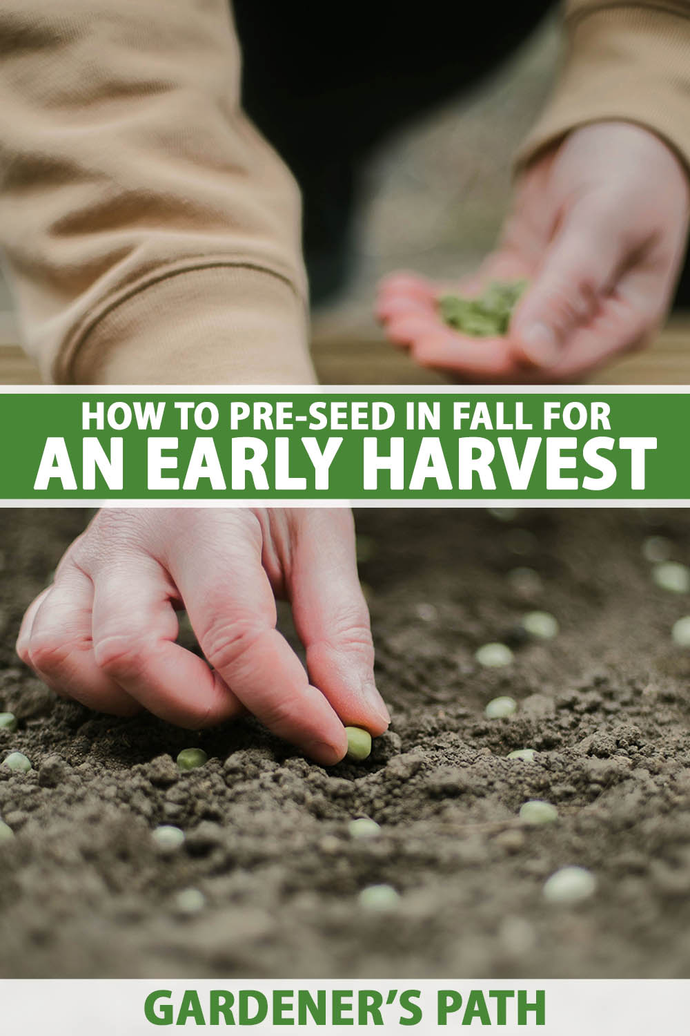 A close up vertical image of a gardener sowing seeds in a raised bed in the garden. To the center and bottom of the frame is green and white printed text.