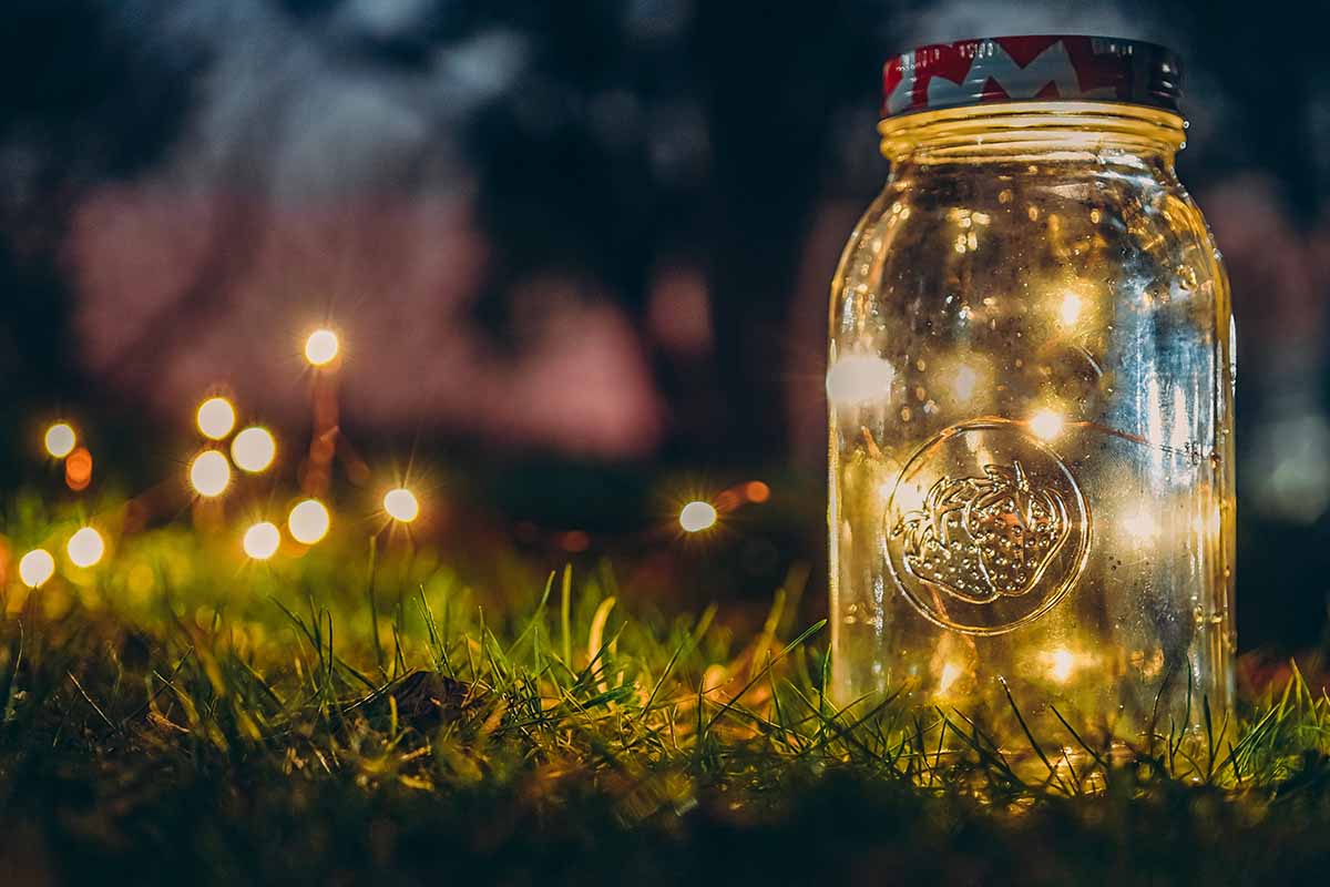 A close up of a mason jar containing string lights, on a lawn at night with soft focus dark background, with small bursts of light.