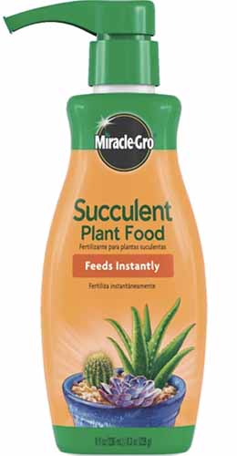 A close up of a bottle of Miracle-Gro Succulent Plant Food isolated on a white background.