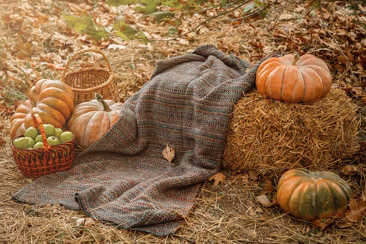 A straw bale, draped with a knitted rug on the background of fallen leaves with large pumpkins on both sides of the frame. To the left of the frame is a basket with green apples and a decorative empty basket.