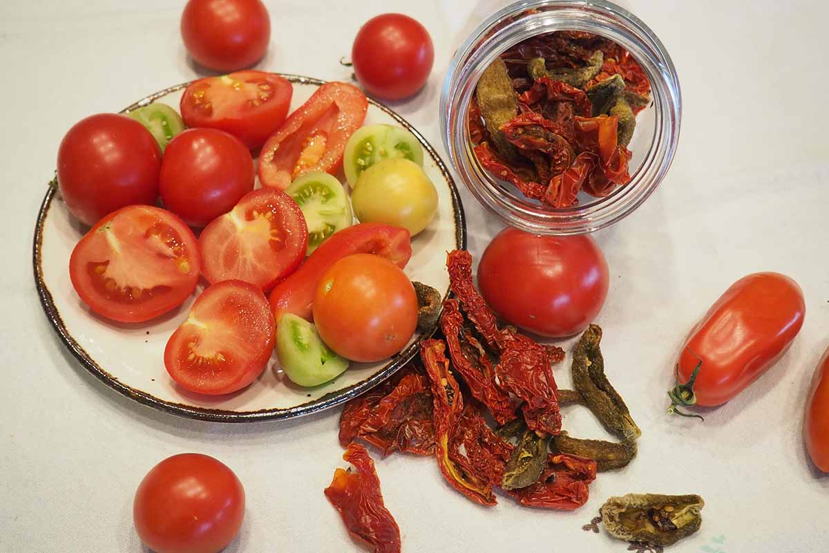 A close up horizontal image of a plate of freshly harvested homegrown tomatoes to the left of the frame and dehydrated ones in a jar to the right, set on a white surface.