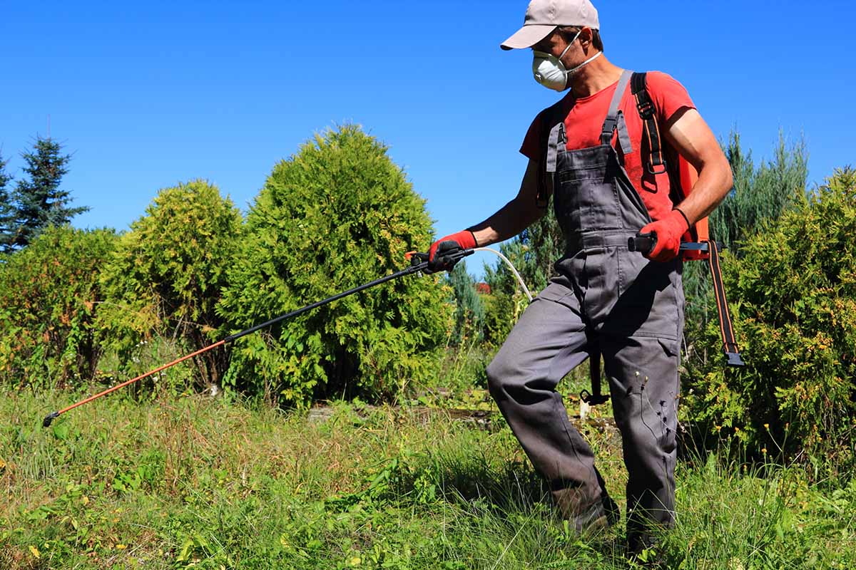 A horizontal image of a gardener using a backpack sprayer on a sunny day.