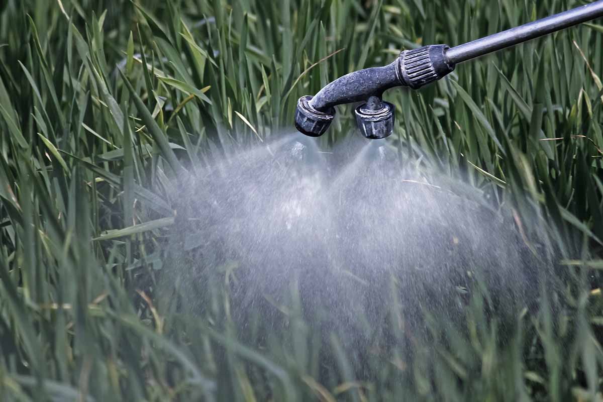 A close up horizontal image of the nozzle of a sprayer in the garden applying chemicals.