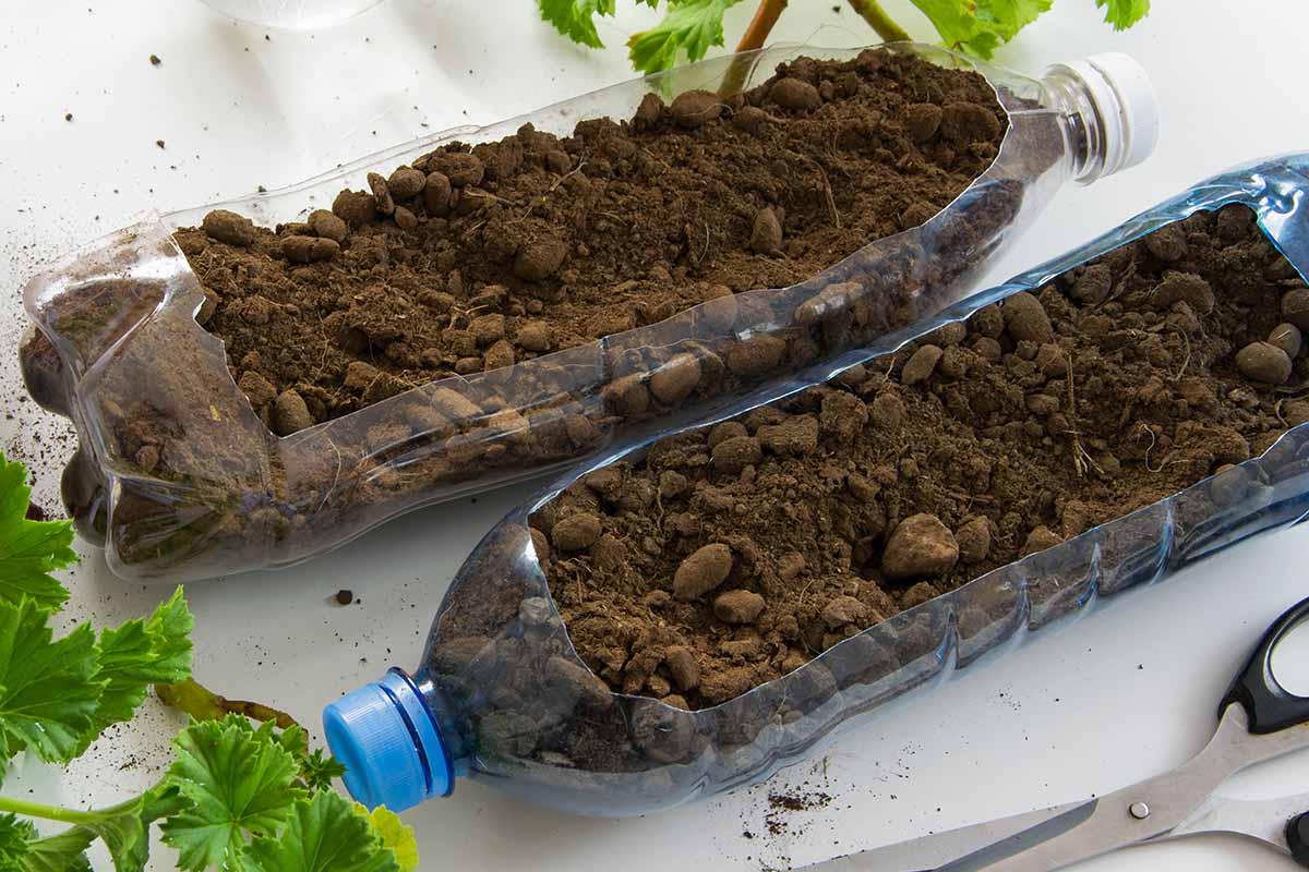 A close up horizontal image of water bottles being used for planting seeds, set on a white surface.