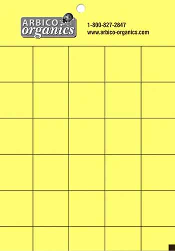 A close up of a yellow sticky trap with a grid printed on it and a logo and contact details of the vendor at the top.