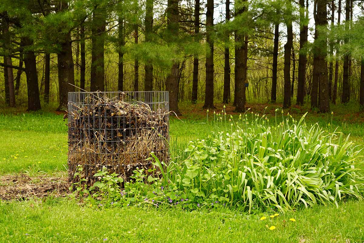 A horizontal image of a garden scene with a wire enclosure filled with autumn leaves with trees in soft focus in the background.