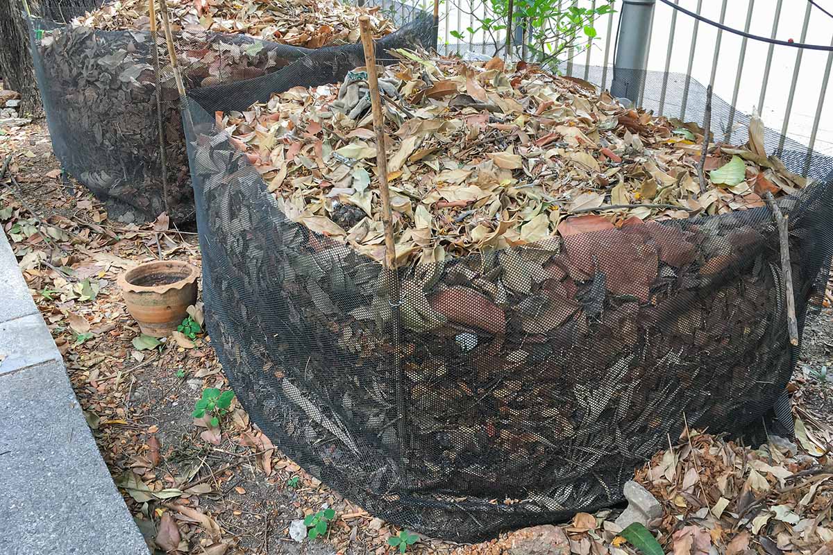 A close up horizontal image of two wire enclosures filled with dried leaves.