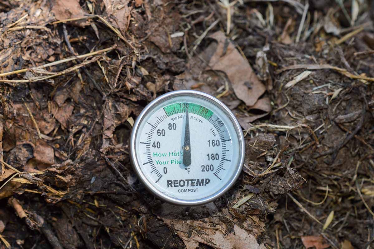 A close up horizontal image of a thermometer in a home compost pile monitoring the temperature.