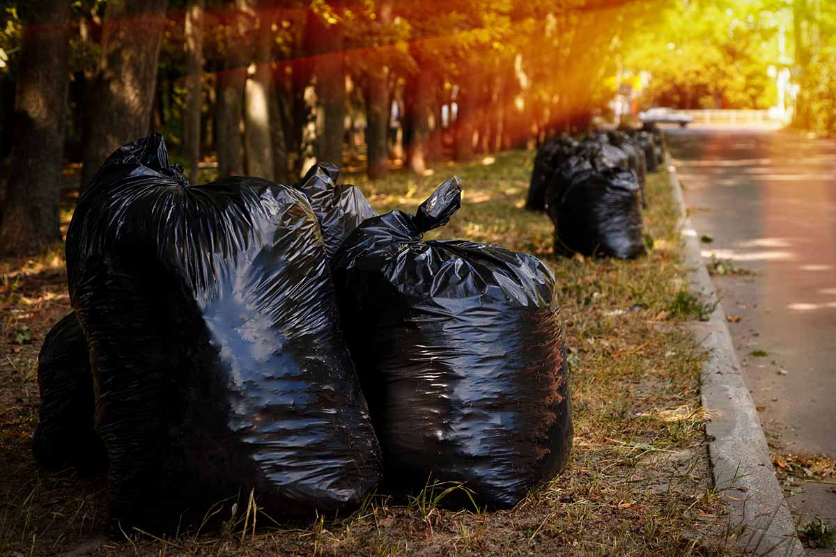 A horizontal image of a street with black plastic bags filled with autumn leaves pictured in light filtered sunshine.