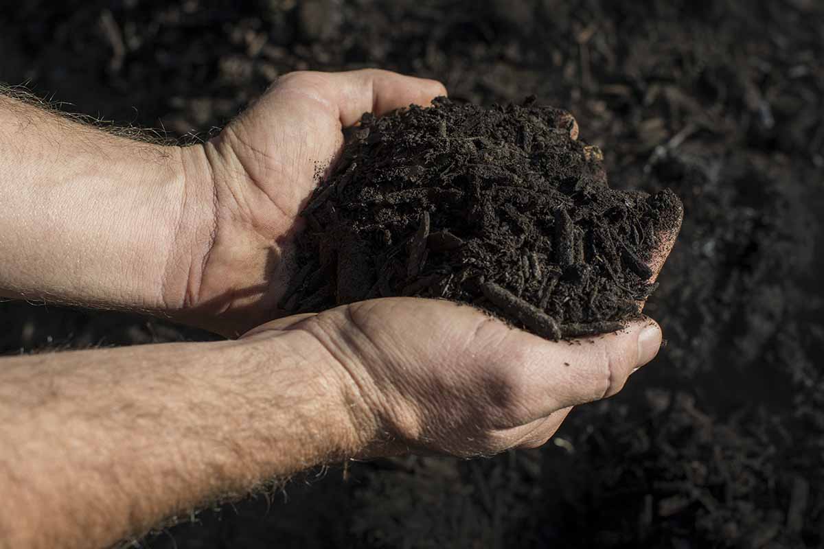A close up horizontal image of two hands from the left of the frame holding a handful of dark, rich compost.
