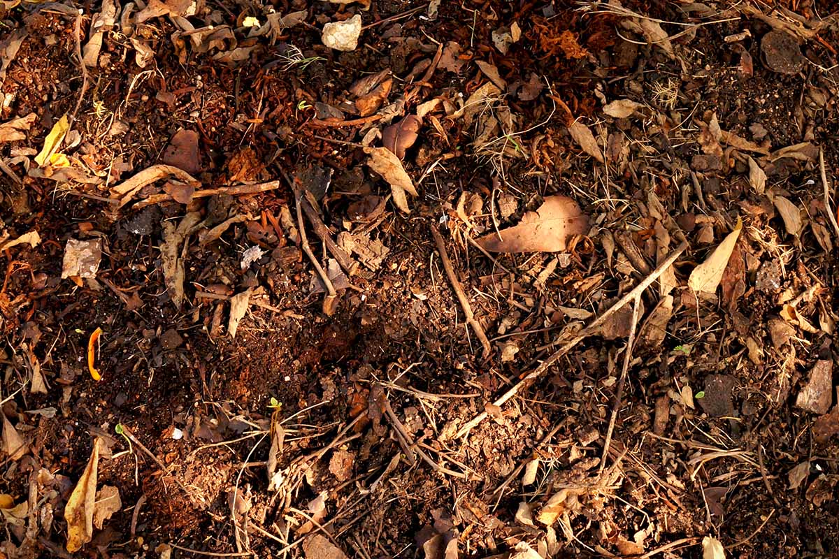 A close up horizontal image of fallen autumn leaves on the ground pictured in light sunshine.