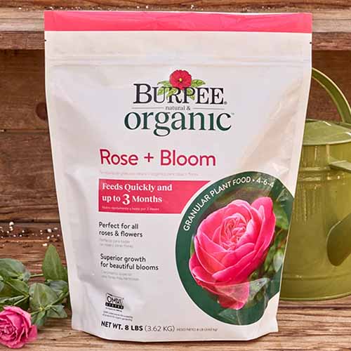 A close up of a bag of Burpee Rose and Bloom plant food set on a wooden surface.
