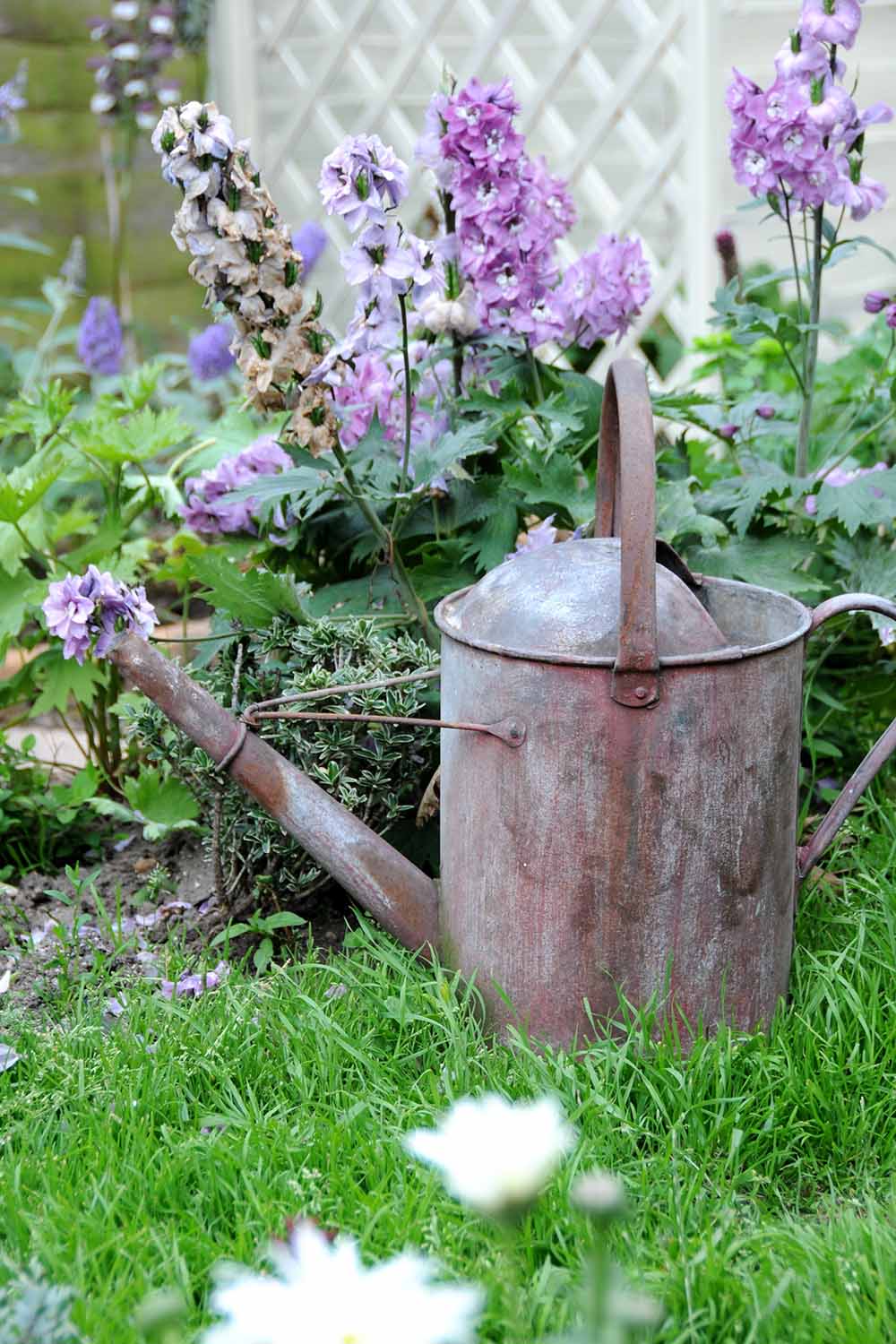 A vertical close up image of a rusting watering can set on a lawn with flowers in soft focus in the background.