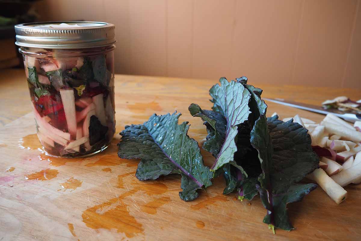 A horizontal image of a jar to the left of the frame containing fermenting vegetables. To the right of the frame is the ingredients ready to ferment, set on a wooden surface.