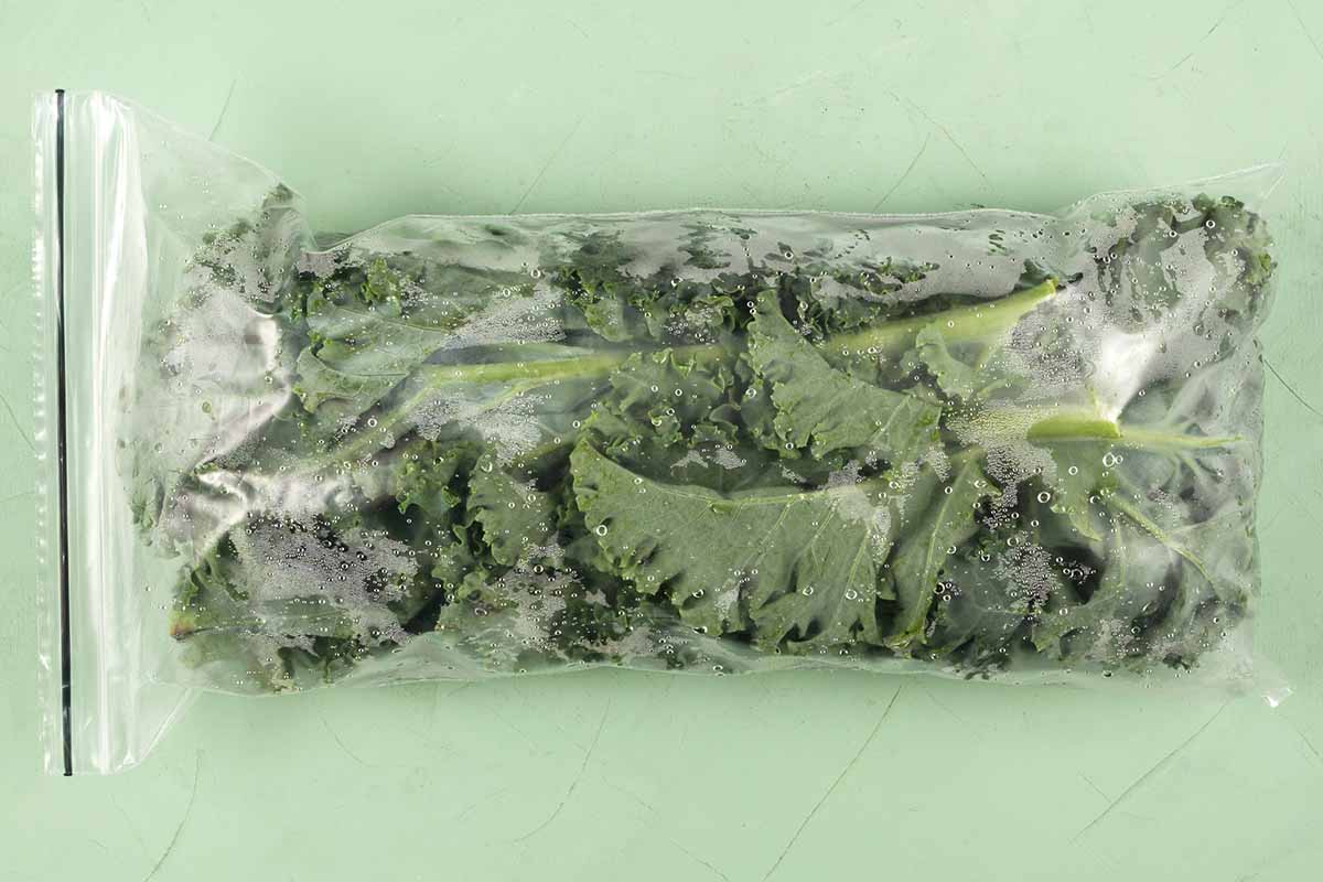 A close up horizontal image of a small plastic bag with frozen leafy greens set on a green surface.