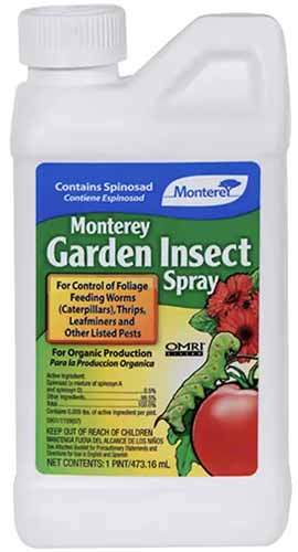 A close up of a bottle of Monterey Garden Insect Spray isolated on a white background.